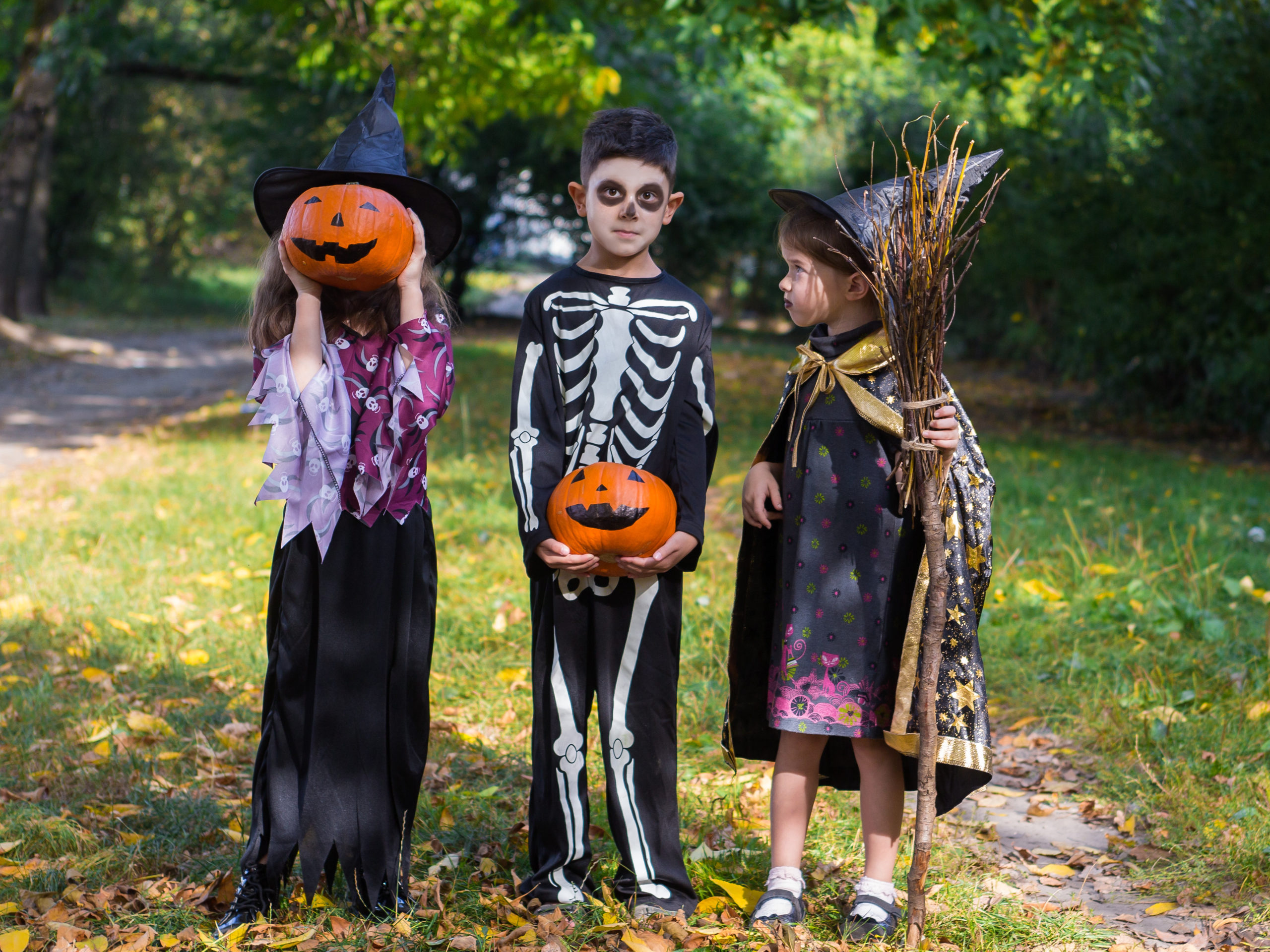 children in costumes play and have fun on a Halloween holiday in the park